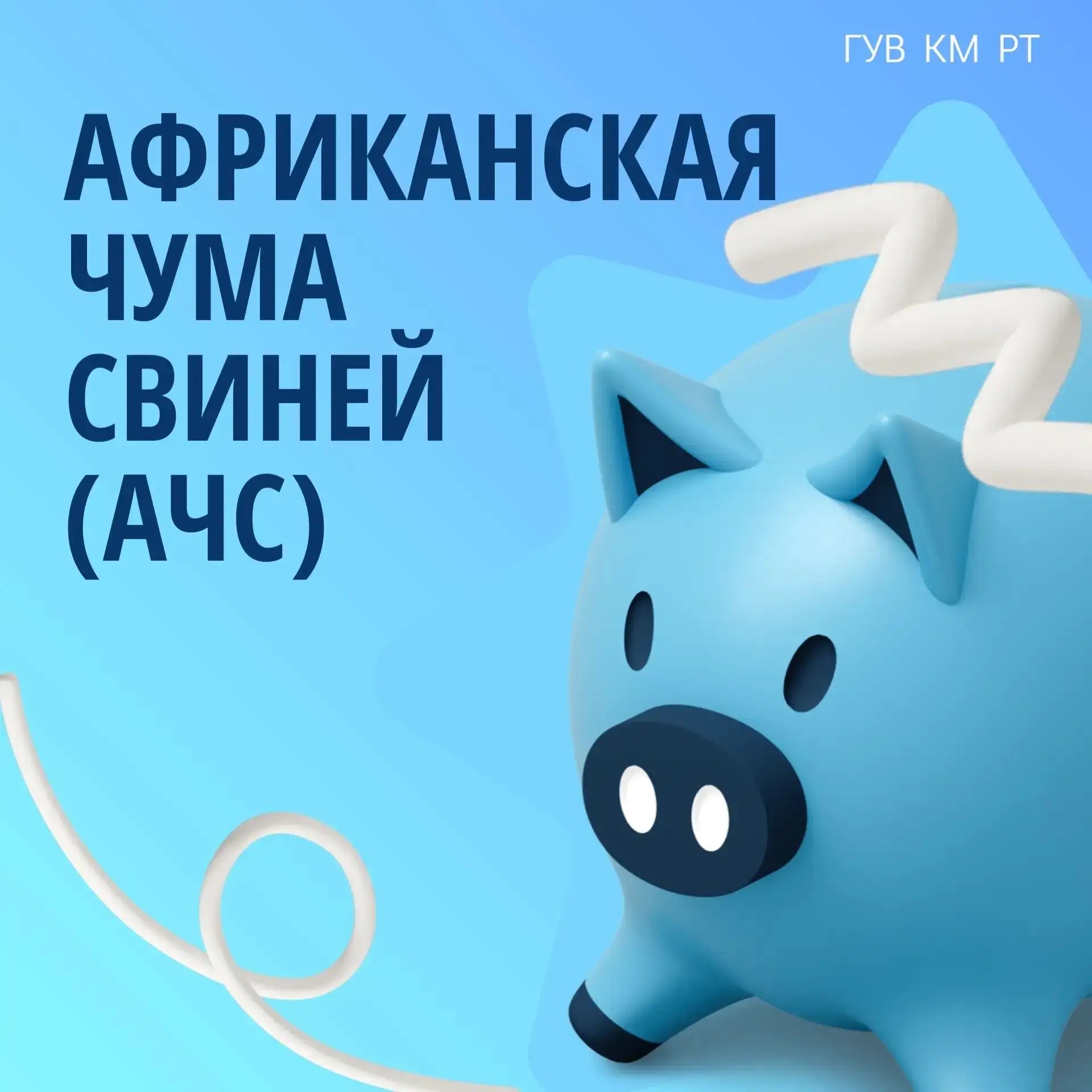 🐷 Что такое африканская чума свиней (АЧС) и почему это важно знать каждому?