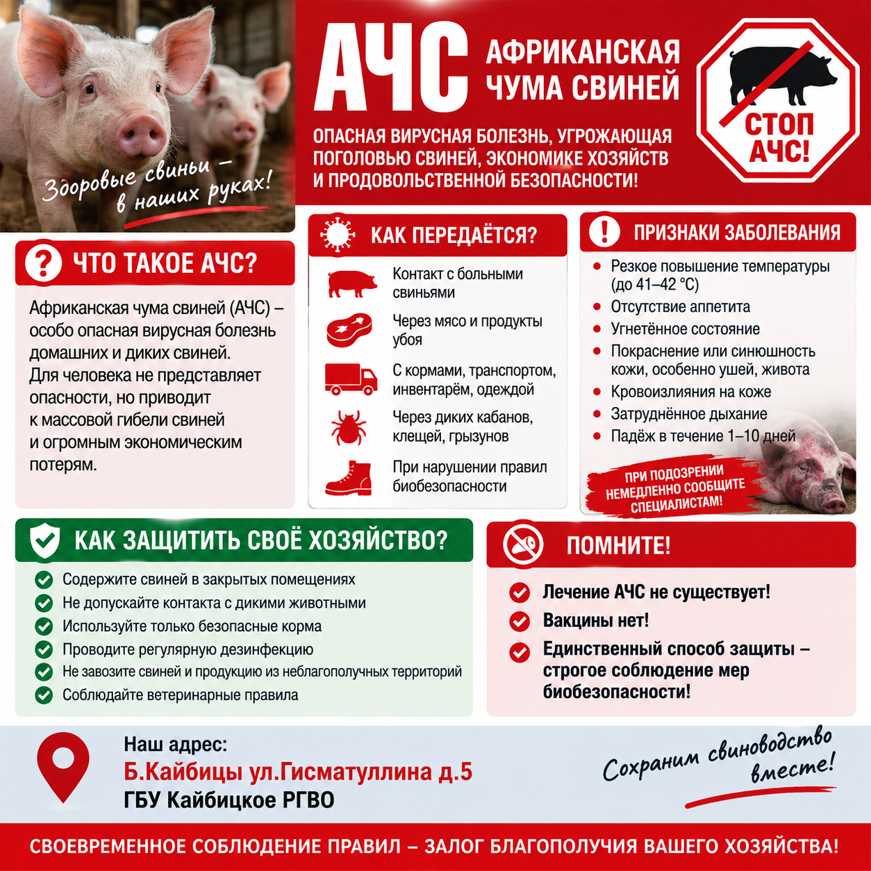 ПАМЯТКА ПО АФРИКАНСКОЙ ЧУМЕ СВИНЕЙ (АЧС)