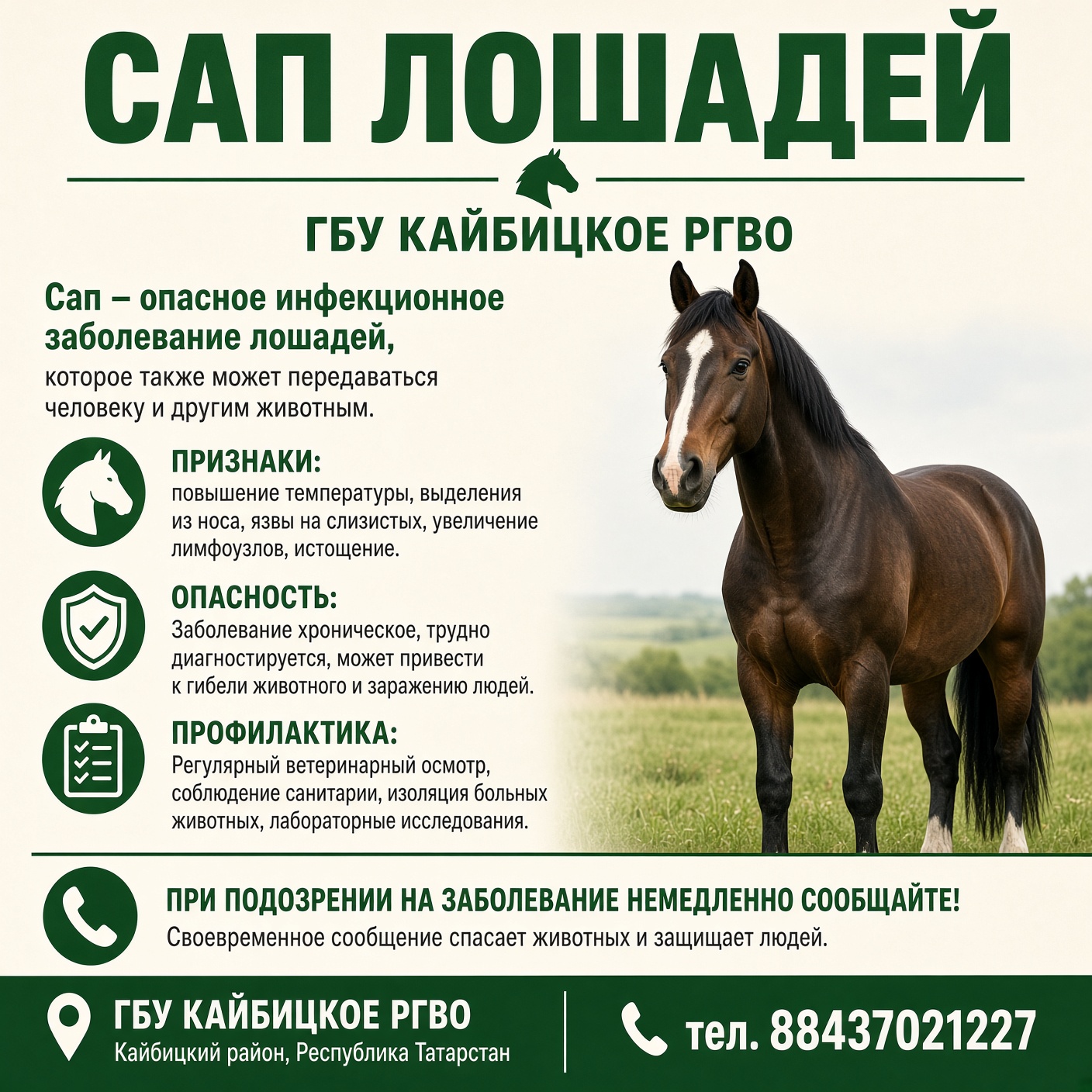 Сап лошадей