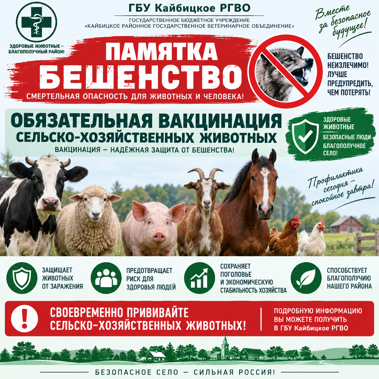 Бешенство